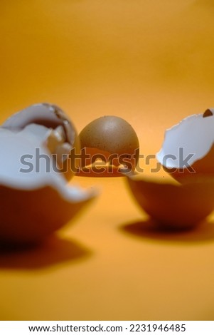 Egg shell art, a bunch of egg shell on closeup photography isolated in orange background, studio shoot, day time.