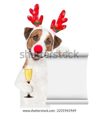 Jack russell terrier puppy dressed like santa claus reindeer Rudolf holds glass of champagne and shows empty list. isolated on white background.