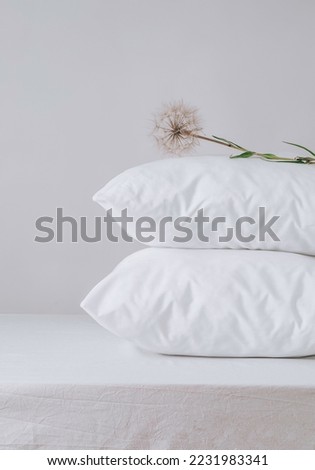 two comfortable pillows with dandelion. Concept of lightness and softness, home comfort, copy space. Good morning in daylight
