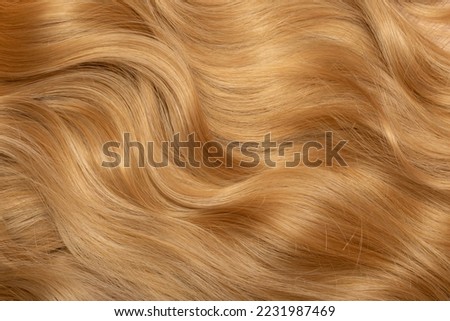 Blond hair close-up as a background. Women's long blonde hair. Beautifully styled wavy shiny curls. Hair coloring. Hairdressing procedures, extension. Royalty-Free Stock Photo #2231987469