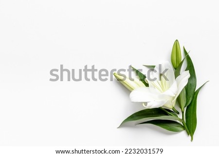Branch of white lilies flowers. Mourning or funeral background Royalty-Free Stock Photo #2232031579