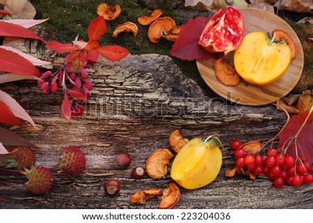 Fresh fruit maple autumn harvest vintage wooden background