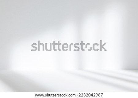 Abstract white studio background for product presentation. Empty room with shadows of window. Display product with blurred backdrop. Royalty-Free Stock Photo #2232042987