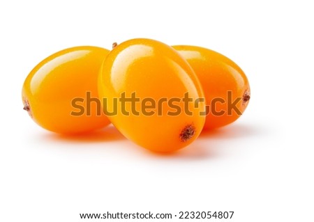 Buckthorn isolated. Sea buckthorn on white background. Three buckthorn berries with clipping path. Full depth of field. Royalty-Free Stock Photo #2232054807