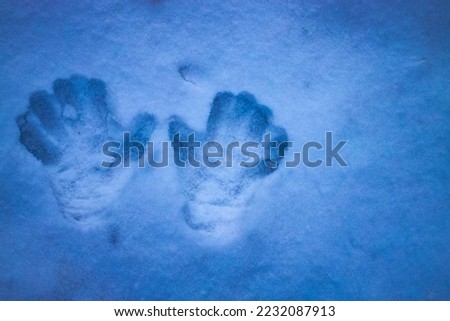 Handprints are visible in the snow, the road has not been cleared.