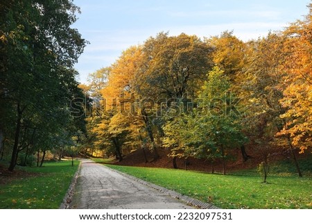 Pathway, green grass and trees in beautiful park on autumn day