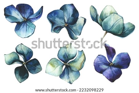 Watercolor painted floral set of blue, turquoise, virid, violet flowers of hydrangea isolated. Artistic collection.