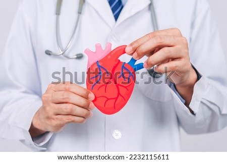 doctor in a white coat holding heart organ paper cut, heart anatomy, heart attack, heart disease, Female with health care and Health checkup concept. Royalty-Free Stock Photo #2232115611