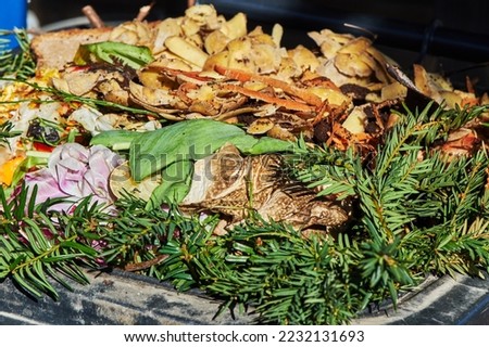 View into a bio container with various organic wastes for recycling. Royalty-Free Stock Photo #2232131693