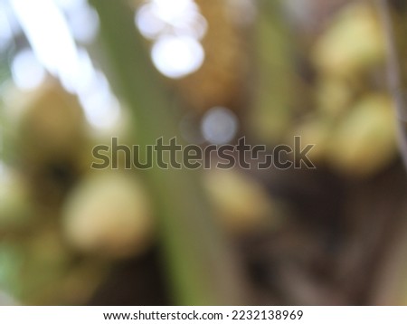 Defocus ivory coconut on the tree abstract background texture