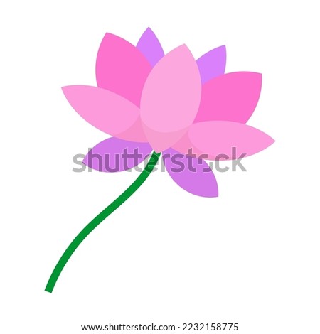 Symbol of Vietnam vector illustration. ASEAN country blooming lotus flower side view isolated on white background. Traveling, culture concept