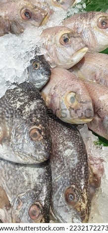 close up picture from fish section in traditional market