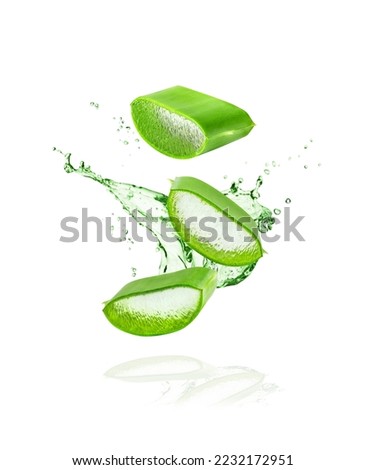 Aloe Vera isolated on white background. Leaf of Aloe Vera plant and splash of juice or gel. Natural essence for herbal beauty products, cosmetology, dermatology, naturopathic medicine.