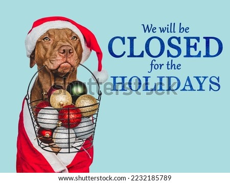 Signboard with the inscription We will be closed for the Holidays. Charming brown dog and Christmas decorations. Close-up, indoors. Studio shot. Pet care concept. Sign for shop, store and sales