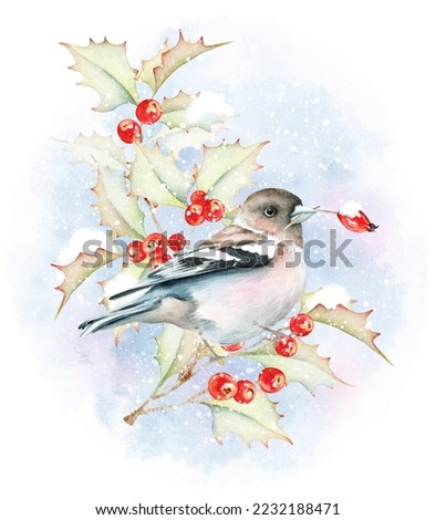 Watercolor Winter Bird Clipart. Christmas Clipart. Xmas Winter illustration. Holiday clip art. Digital Christmas card