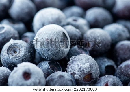 Macro of big ripe frozen blueberries. Background of healthy, tasty and beautiful berries from the garden