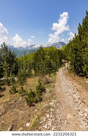 Spectacular stone trail leads through dramatic mountain scenery in the Albanian Alps near the village of Theth, with snow-capped mountains and forests across the landscape.