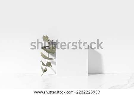 White template for cosmetic product presentation made with white square podium end eucalyptus branch on white background in sunlight. Trendy fashion showcase mockup.