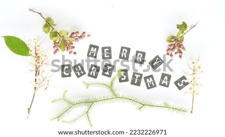 Christmas composition, with a Merry Christmas message, designed with leaves and natural fruits. top view , flat design