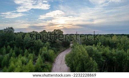 Aerial view of road in beautiful green forest at sunset in spring. Colorful landscape with trees in summer. View from above, shot by a drone. Travel and freedom concept. High quality photo