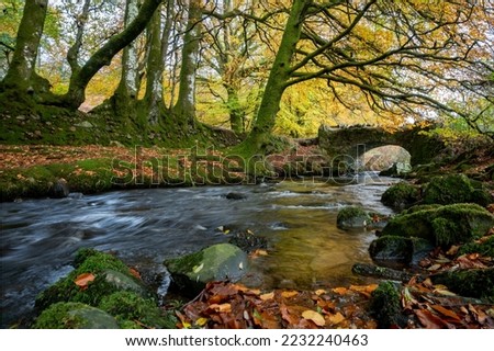 The Weir Water river flowing under Robbers Bridge in Exmoor National Park in autumn