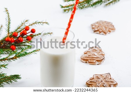 Milk and Christmas cookies for Santa. Christmas background. gingerbread cookies