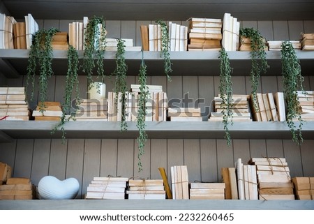 Bookshelf with plants modern decor for virtual office backgrounds, studio backdrop, print large on a back wall Royalty-Free Stock Photo #2232260465