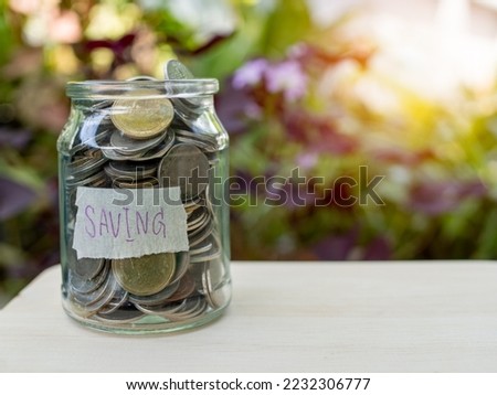 Coins in glass bottles on nature background. The concept of savings and investment.