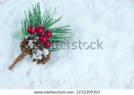 Bucket of pine cone, leaves and red berries on the snow. Copy space.