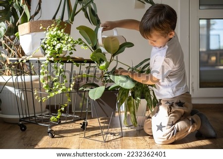 Little cute boy is watering indoor plants from a stylish watering can in a designer white home interior. The child helps around the house.