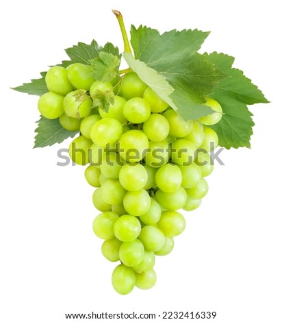 Green Grape with leaves isolated on white, Sweet Green Grape isolated on white background With work path. Royalty-Free Stock Photo #2232416339