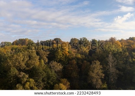 Autumn season in the park, the foliage of the trees changes color and falls to the ground in autumn