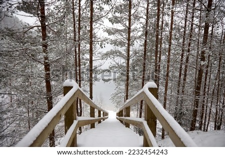 A stairs covered with snow leading to the lake in a winter forest, selective focus. High quality photo