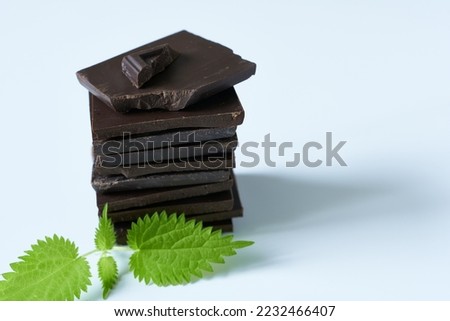 Bitter chocolate with mint leaves on a white background.