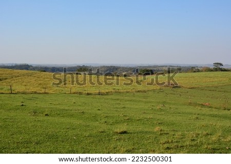 
Pasture area. Brazilian nature, landscape in Brazil, with panoramic photography with trees, lawn and blue sky in the background, Brazil, South America, pasture fence on the left