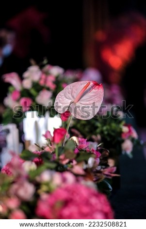High quality pictures of the wedding hall and decorating it with flowers and more