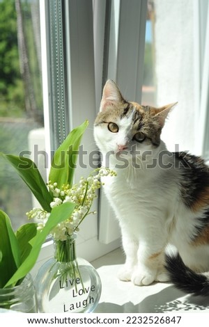 A cat on the windowsill with a bouquet of flowers.Spring photos with cats.
