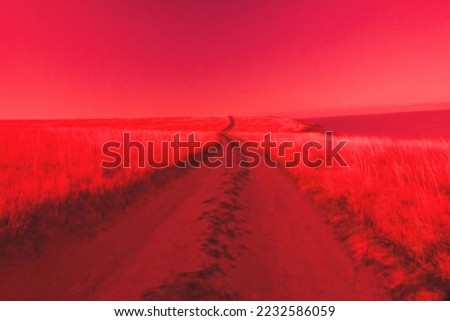 The field road goes beyond the horizon in the sultry prairies ( tropical grassland) into distance and unknown. Surrealistic art infrared photo Royalty-Free Stock Photo #2232586059