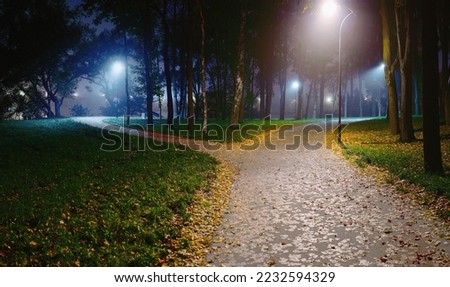 A narrow path branches off from the wide path in the park, going off to the side among the grass and fallen autumn leaves in the dark by the light of street lamps with different color temperatures