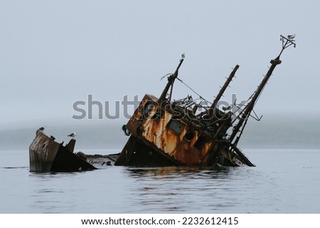 The seagulls are sitting on a sunken ship Royalty-Free Stock Photo #2232612415
