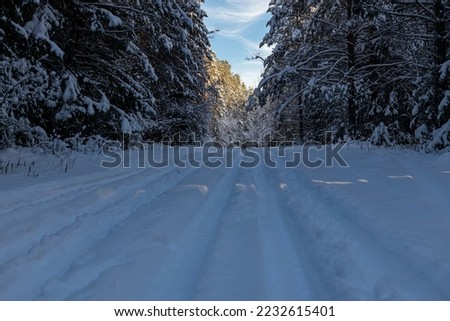A country road in a snow-covered forest in the taiga on a winter day. beautiful landscape of winter coniferous forest.
