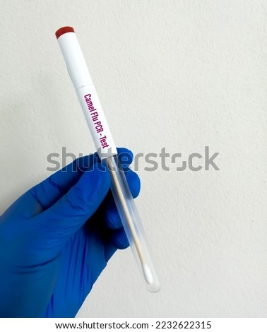 Nasal Swab for Camel flu or Middle East respiratory syndrome (MERS) PCR test. It's the new risk for world cup fans in Qatar. Royalty-Free Stock Photo #2232622315