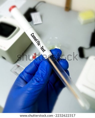 Nasal Swab for Camel flu or Middle East respiratory syndrome (MERS) PCR test. It's the new risk for world cup fans in Qatar. Royalty-Free Stock Photo #2232622317