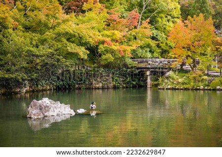 Beautiful view of the lake with duck at Eikando Temple at fall in Kyoto Japan. Translation: Bentensha shrine