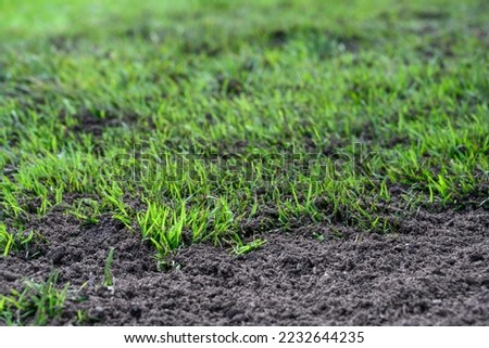 Major lawn repair and reseeding project, fresh seeds and rich topsoil in a green lawn
 Royalty-Free Stock Photo #2232644235