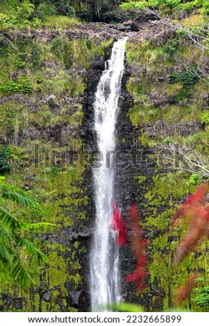tall tropical waterfall on rocks in forest