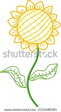 Sunflower. Hand drawn colorful floral vector illustration.
