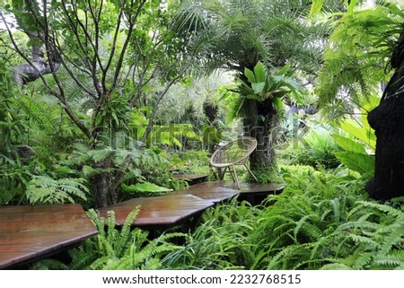 landscaping landscape design
which is the most natural with fog mist, suitable for relaxation