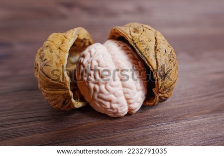 Miniature copy of a human brain in a nut shell isolated on a wooden background. Brain food essentials concept. Royalty-Free Stock Photo #2232791035