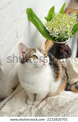 Cat in spring flowers. Pet with a bouquet of flowers.
